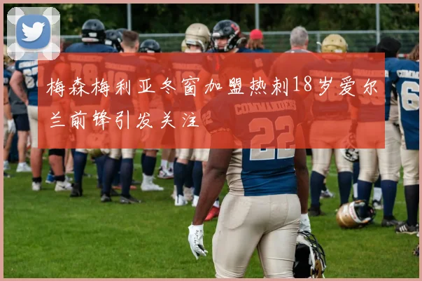 梅森梅利亚冬窗加盟热刺18岁爱尔兰前锋引发关注
