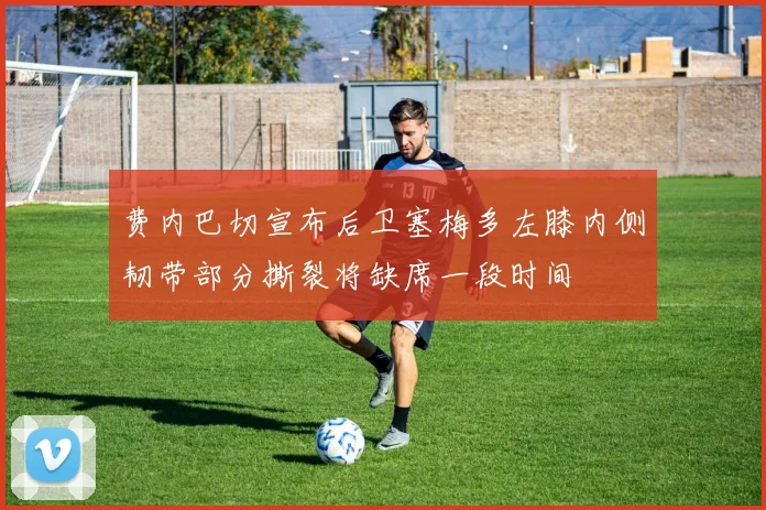 费内巴切宣布后卫塞梅多左膝内侧韧带部分撕裂将缺席一段时间